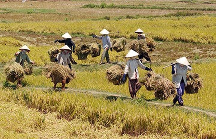Hotspot Matrix: Bí quyết thành công với video ngắn