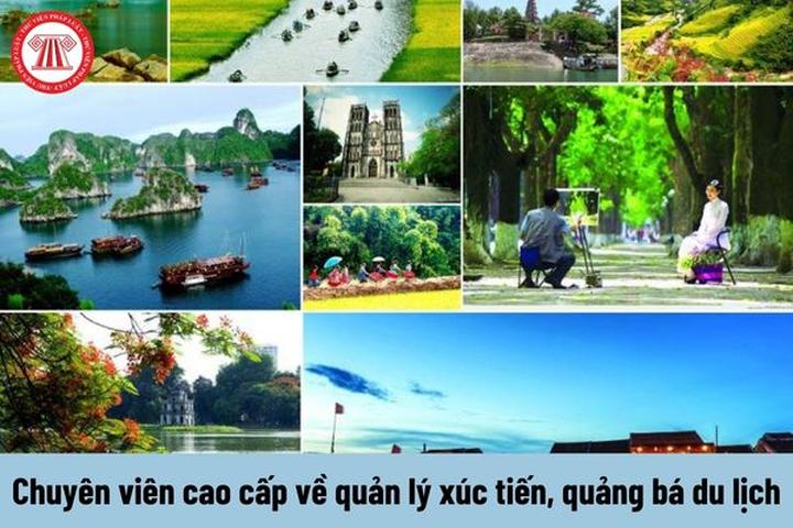 Hai ông trùm Điền Quân gặp - Cảm hứng video marketing từ Hotspot Matrix