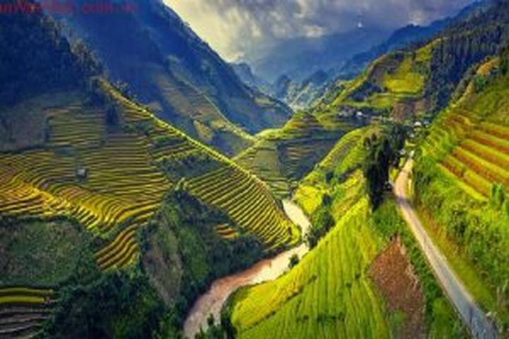 Mỹ Tâm: Họa mi tóc nâu và mối quan hệ với học trò