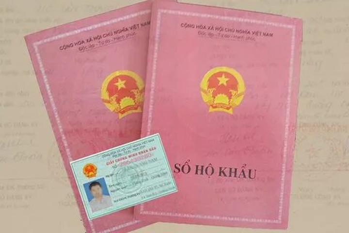 Bonobo: Nguồn Gốc Tiến Hóa Của Ngôn Ngữ Con Người?