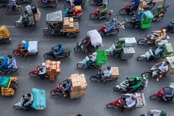 Loại cá được khen