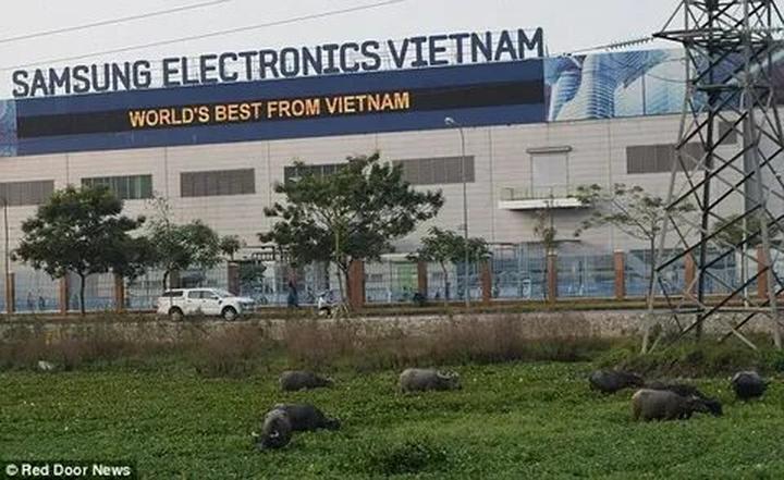Hotspot Matrix: Khởi nghiệp an toàn, bền vững với video ngắn